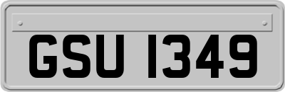 GSU1349