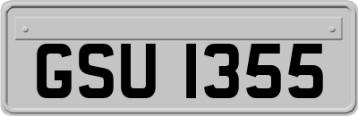 GSU1355