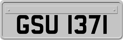 GSU1371