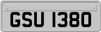 GSU1380