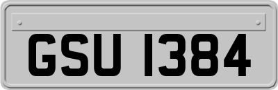 GSU1384