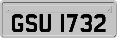 GSU1732