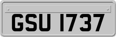 GSU1737