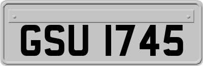 GSU1745