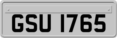 GSU1765