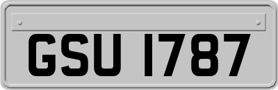 GSU1787