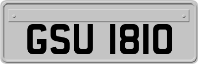 GSU1810
