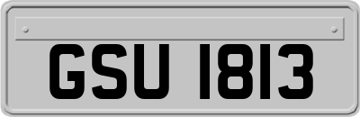 GSU1813