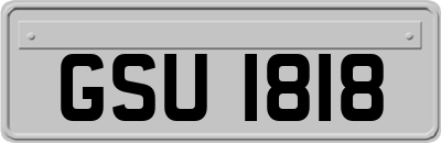 GSU1818