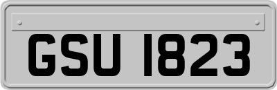 GSU1823