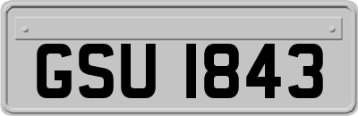 GSU1843