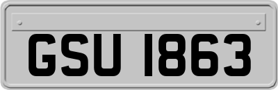 GSU1863