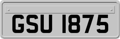 GSU1875