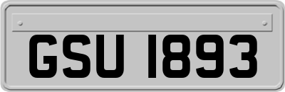 GSU1893