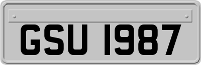 GSU1987