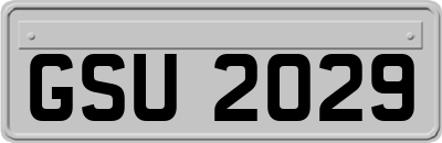 GSU2029