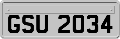 GSU2034