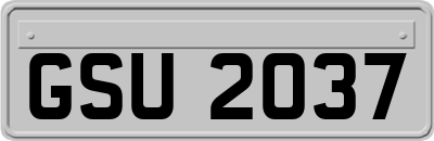 GSU2037