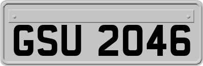 GSU2046