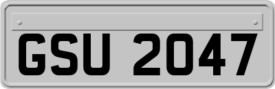 GSU2047
