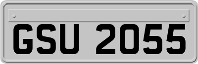 GSU2055