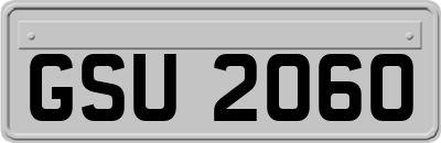 GSU2060