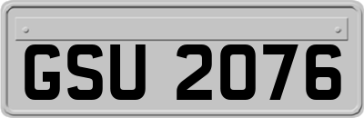 GSU2076