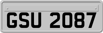GSU2087
