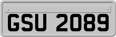 GSU2089