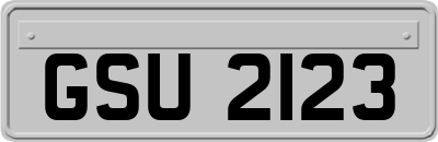 GSU2123
