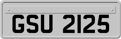 GSU2125