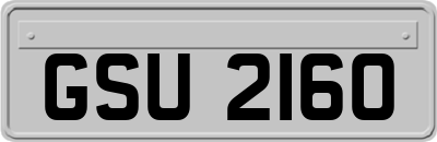 GSU2160