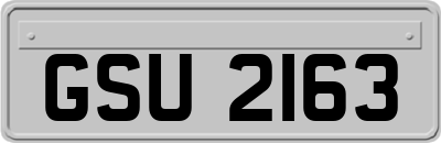 GSU2163