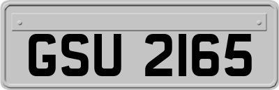 GSU2165