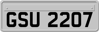 GSU2207