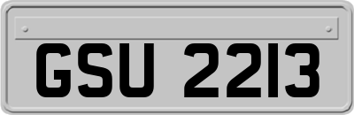 GSU2213