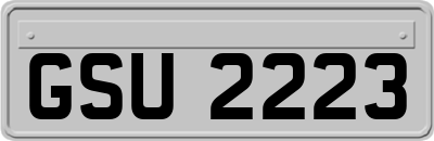 GSU2223