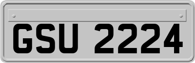 GSU2224