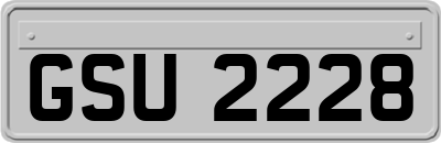 GSU2228