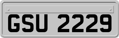 GSU2229