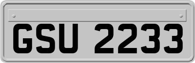 GSU2233