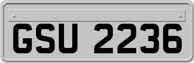 GSU2236