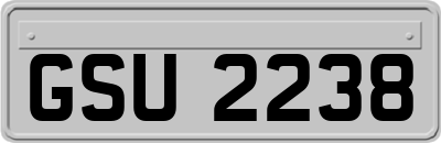 GSU2238