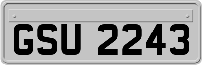 GSU2243