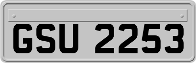 GSU2253