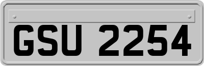 GSU2254