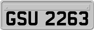 GSU2263