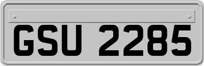 GSU2285