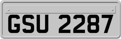 GSU2287