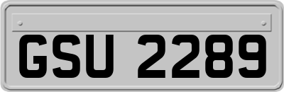 GSU2289